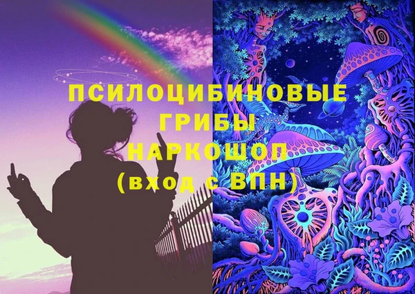 стафф Протвино