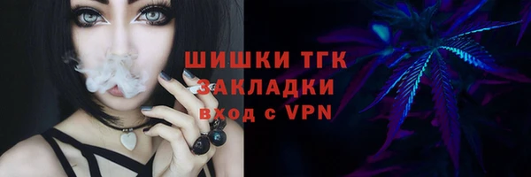 кокс Тайга