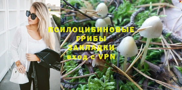 стафф Протвино