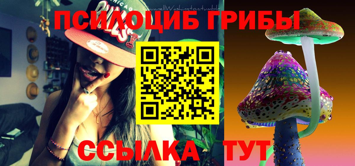 Псилоцибиновые грибы Psilocybine cubensis Моршанск