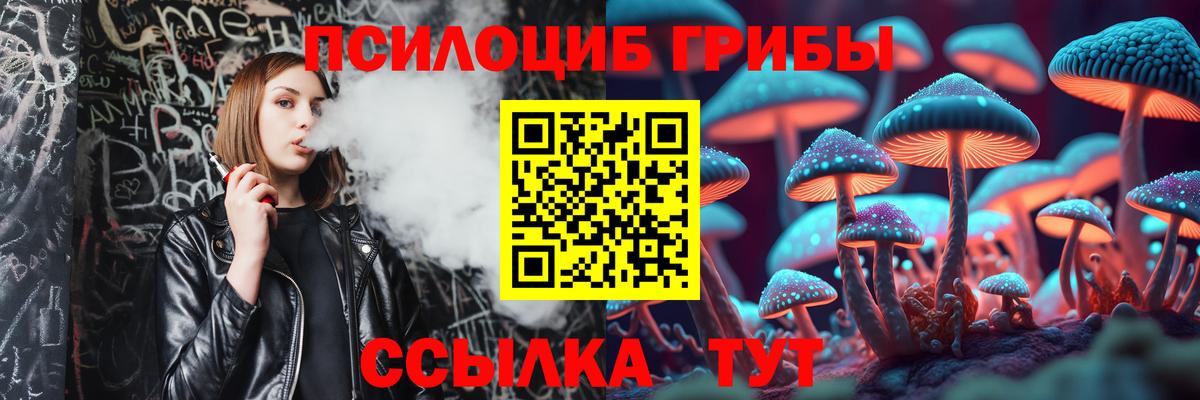 Псилоцибиновые грибы Psilocybe  где найти   Моршанск  Вход с VPN 