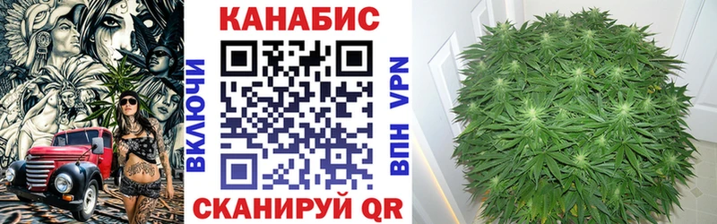 Канабис марихуана где купить наркоту Моршанск